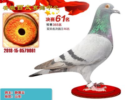 安徽百太决赛61名