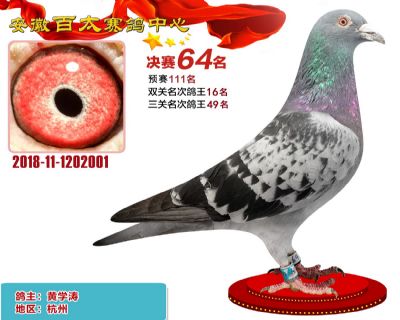 安徽百太决赛64名