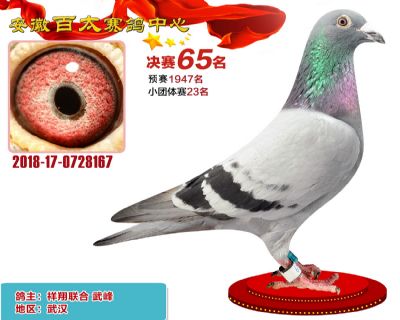 安徽百太决赛65名