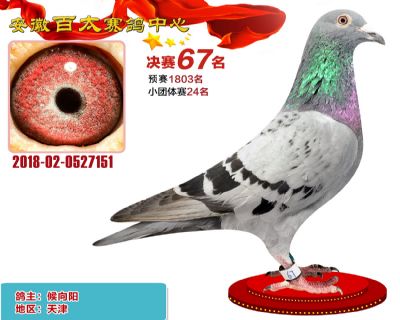 安徽百太决赛67名