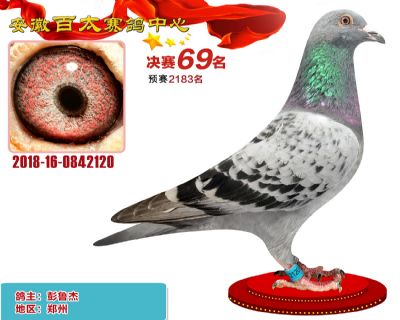 安徽百太决赛69名