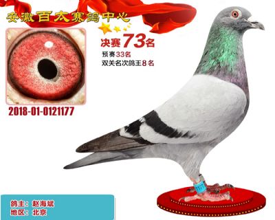 安徽百太决赛73名