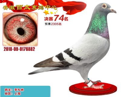 安徽百太决赛74名
