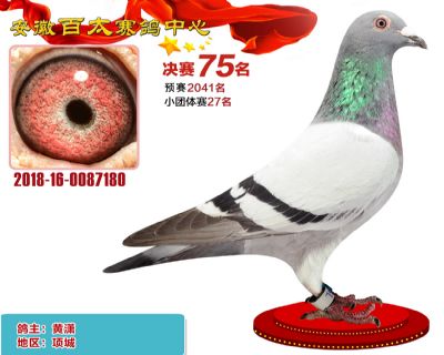 安徽百太决赛75名