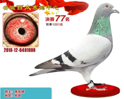 安徽百太决赛77名