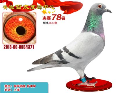 安徽百太决赛78名