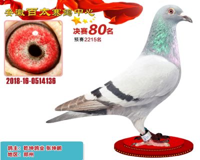 安徽百太决赛80名