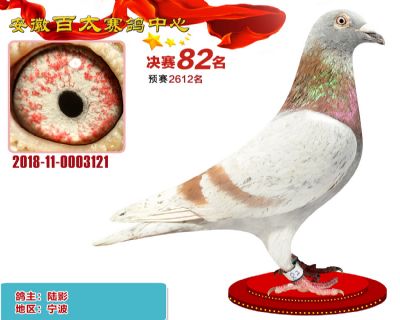 安徽百太决赛82名