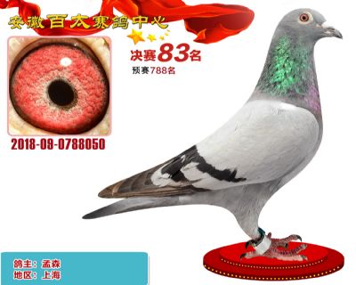 安徽百太决赛83名