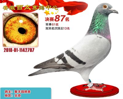 安徽百太决赛87名