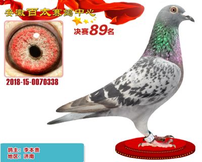 安徽百太决赛89名