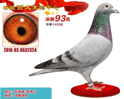 安徽百太决赛93名