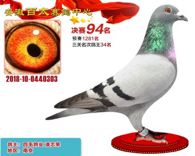 安徽百太决赛94名