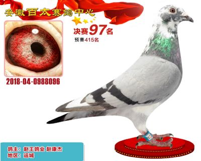 安徽百太决赛97名
