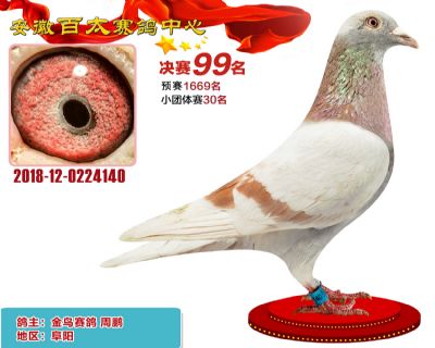 安徽百太决赛99名