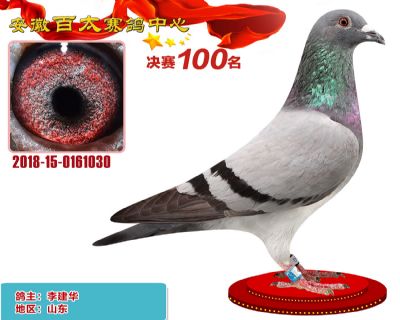 安徽百太决赛100名