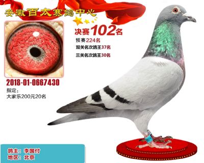 安徽百太决赛102名