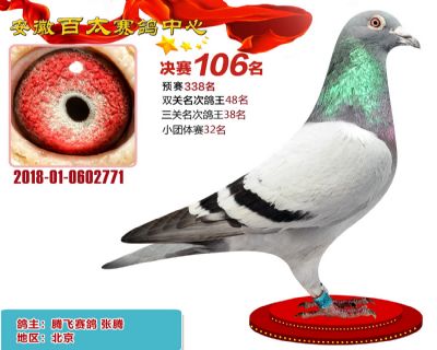安徽百太决赛106名