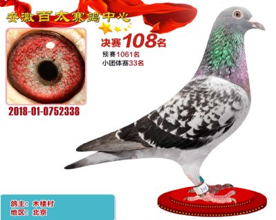 安徽百太决赛108名