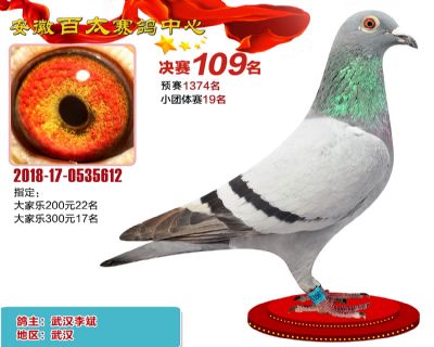 安徽百太决赛109名