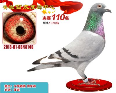 安徽百太决赛110名