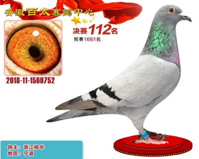 安徽百太决赛112名