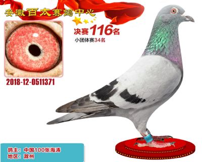 安徽百太决赛116名