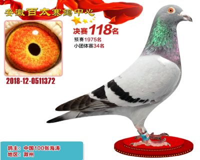 安徽百太决赛118名