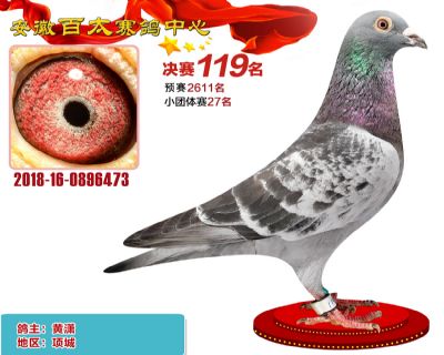 安徽百太决赛119名