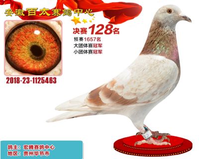 安徽百太决赛128名