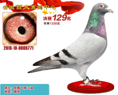 安徽百太决赛129名
