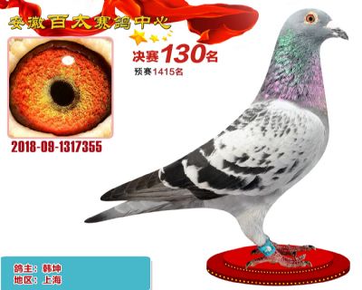 安徽百太决赛130名