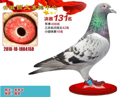 安徽百太决赛131名