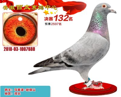 安徽百太决赛132名
