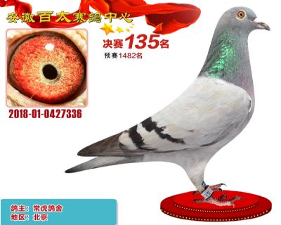 安徽百太决赛135名