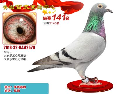安徽百太决赛141名