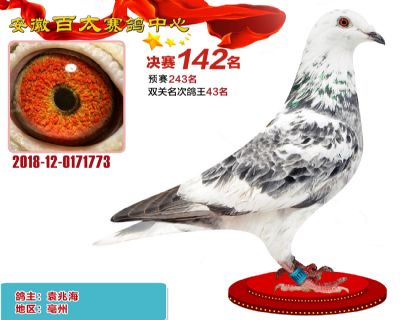 安徽百太决赛142名