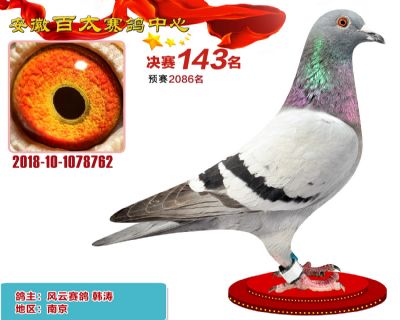 安徽百太决赛143名