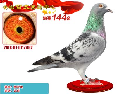 安徽百太决赛144名