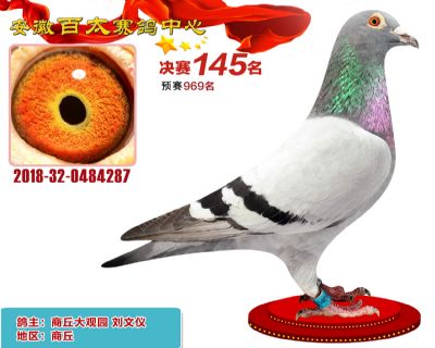 安徽百太决赛145名