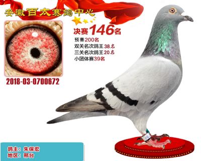 安徽百太决赛146名