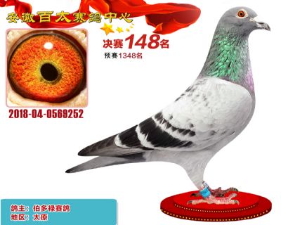 安徽百太决赛148名