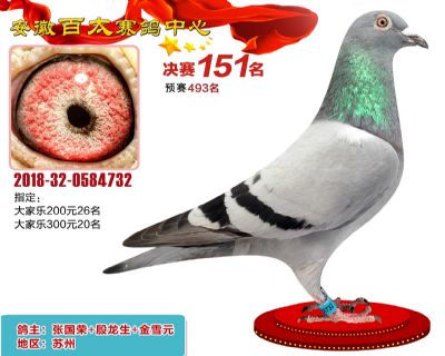 安徽百太决赛151名