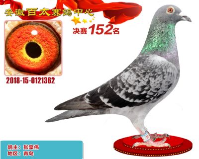 安徽百太决赛152名