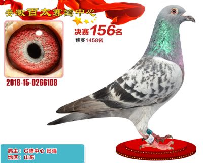 安徽百太决赛156名
