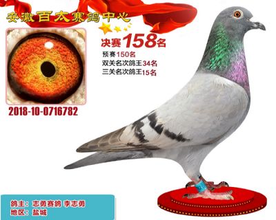 安徽百太决赛158名
