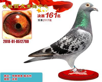 安徽百太决赛161名
