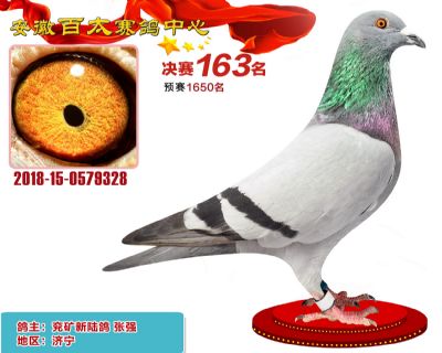 安徽百太决赛163名