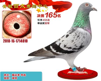 安徽百太决赛165名