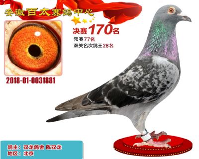 安徽百太决赛170名